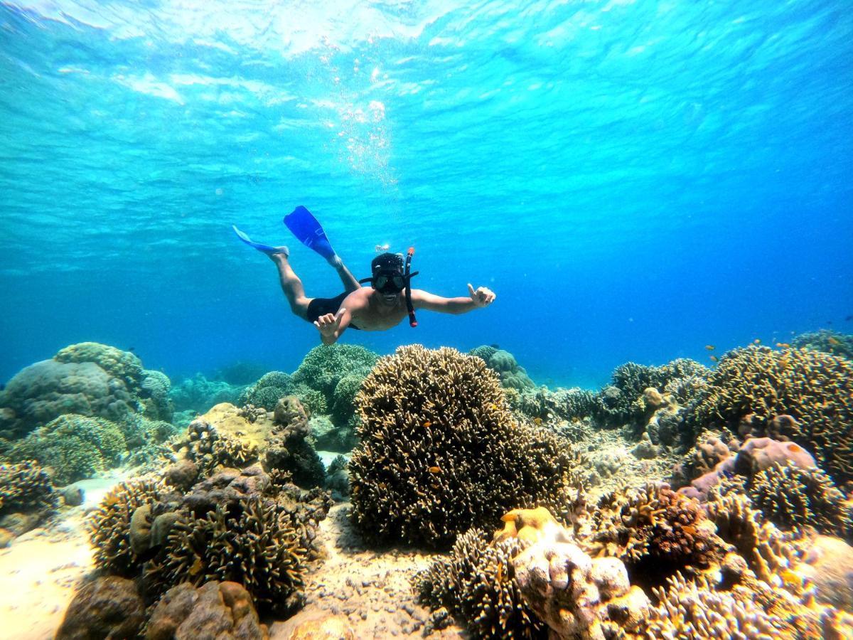 Ijen Transito Otel Ketapang  Dış mekan fotoğraf