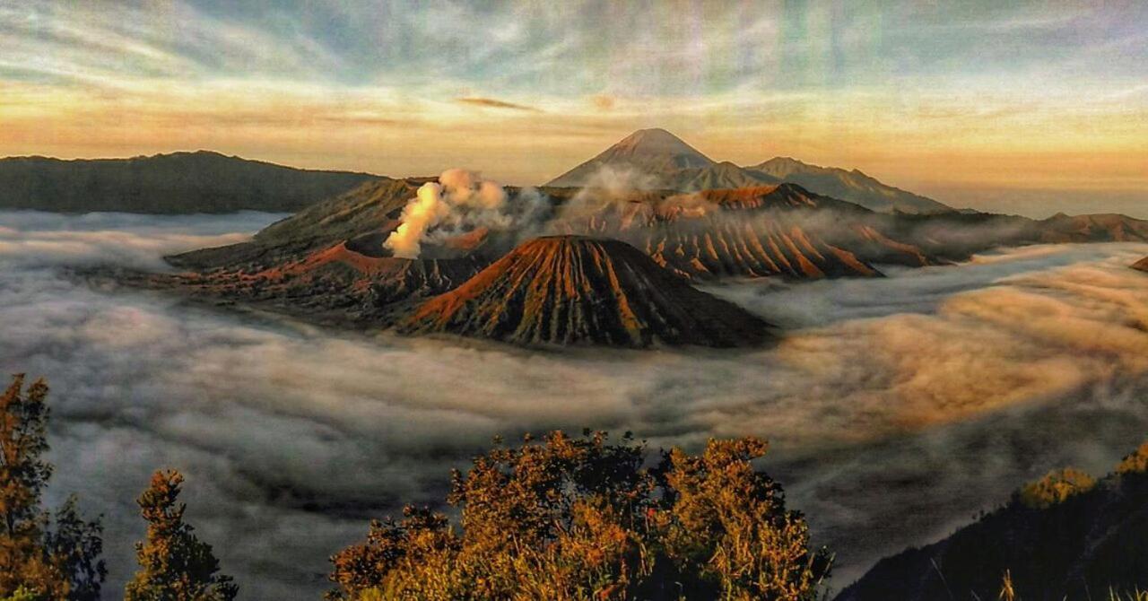 Ijen Transito Otel Ketapang  Dış mekan fotoğraf